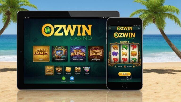 Introduction to ozwin